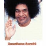 Sanathana Sarathi en español | Noviembre 2024