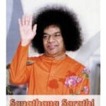 Sanathana Sarathi en español | Enero 2025